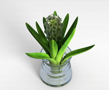 Modern Potted Green Plant-ID:194396023