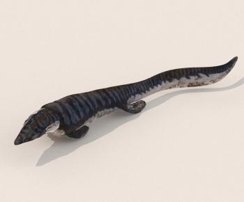 Modern Aquatic Animals-ID:883650869