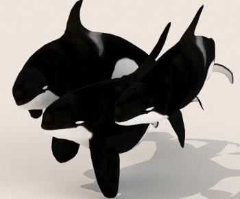 Modern Aquatic Animals-ID:128232005