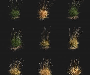 Modern Shrubbery-ID:110420948