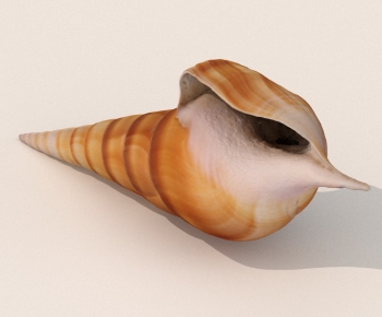 Modern Aquatic Animals-ID:905154946