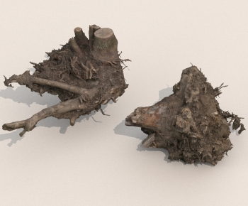 Modern Tree-ID:853352077