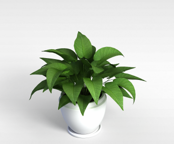 Modern Potted Green Plant-ID:204602001