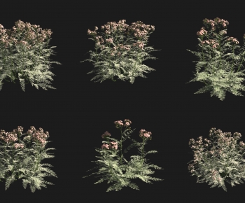 Modern Shrubbery-ID:279737004