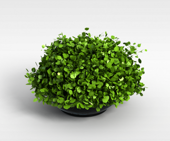 Modern Potted Green Plant-ID:342643026