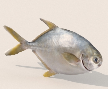 Modern Aquatic Animals-ID:320298914