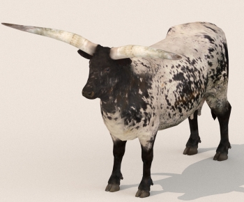 Modern Mammal-ID:223187925