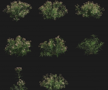 Modern Shrubbery-ID:740767006