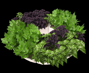 Modern Potted Green Plant-ID:814404016