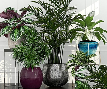 Modern Potted Green Plant-ID:288181074