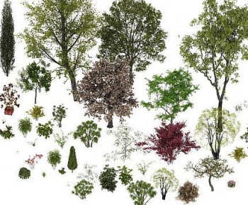 Modern Tree-ID:873063098
