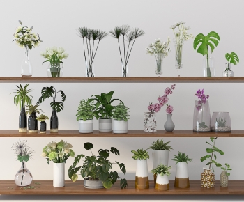 Modern Potted Green Plant-ID:290308002