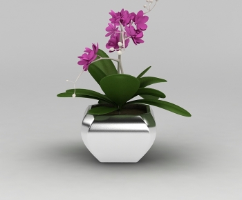 Modern Potted Green Plant-ID:634527921