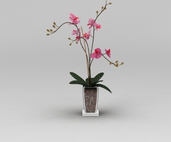 Modern Potted Green Plant-ID:650597102