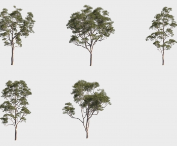 Modern Tree-ID:594594002