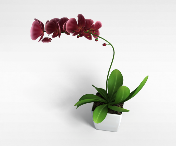 Modern Potted Green Plant-ID:441344022