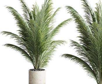 Modern Ground Green Plant Potted Plants-ID:109294894