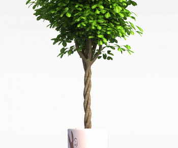 Modern Ground Green Plant Potted Plants-ID:393136985