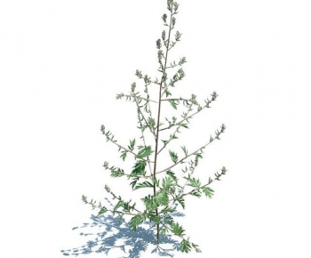 Modern The Grass-ID:459108117