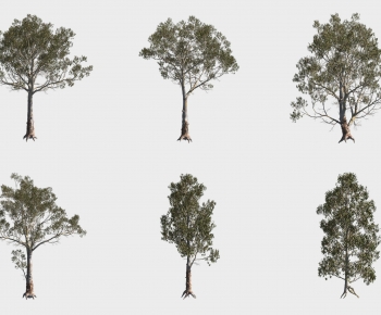 Modern Tree-ID:159810071