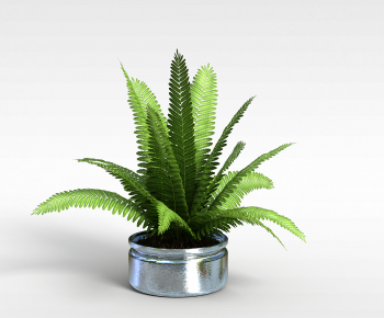Modern Potted Green Plant-ID:944941073