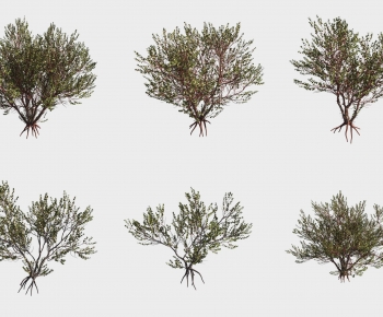 Modern Tree-ID:849699973