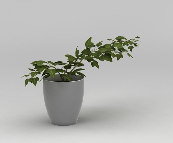 Modern Potted Green Plant-ID:204313045