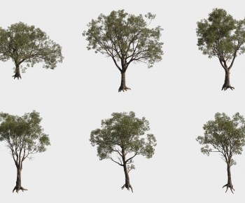 Modern Tree-ID:918692114