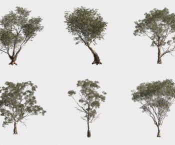 Modern Tree-ID:329438928