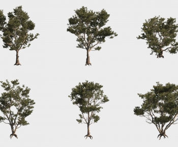 Modern Tree-ID:659874922