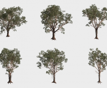 Modern Tree-ID:894375095