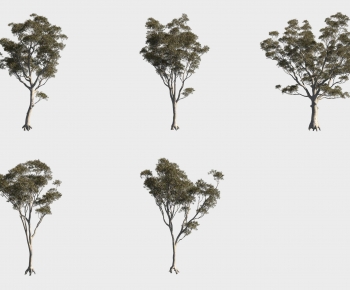 Modern Tree-ID:145972978