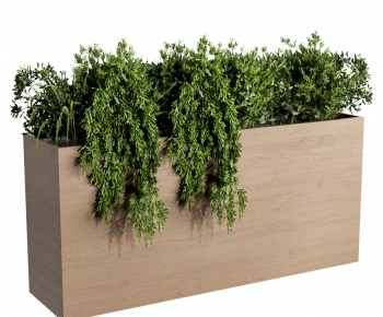 Modern Flower Bed, Flower Bowl, Flower Box-ID:815804963