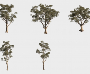 Modern Tree-ID:414112095