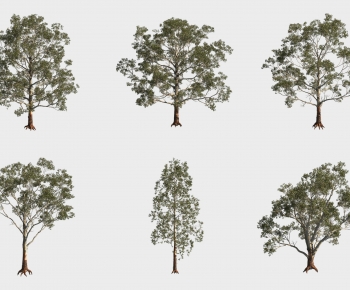 Modern Tree-ID:579718112