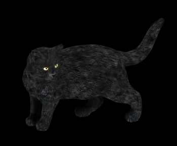 Modern Animal Cat-ID:332703117