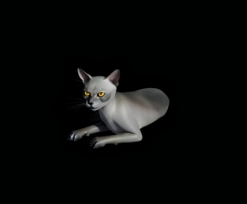 现代动物猫-ID:756009106