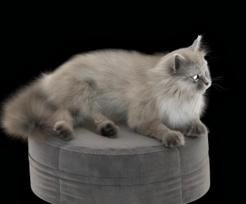 现代猫-ID:310709556