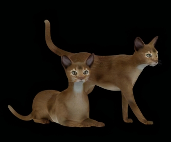 Modern Animal Cat-ID:876820094