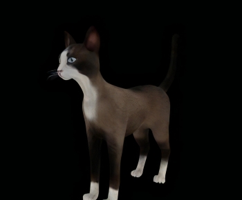 Modern Animal Cat-ID:877717973