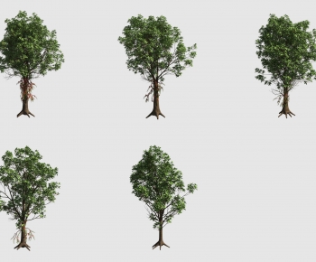 Modern Tree-ID:536199091