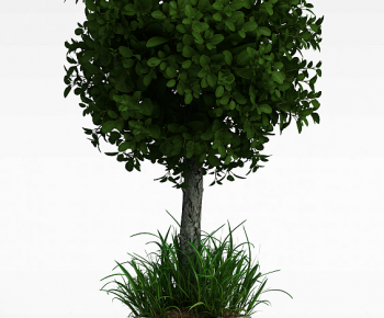 Modern Tree-ID:541603094
