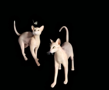 现代动物猫组合-ID:344247107