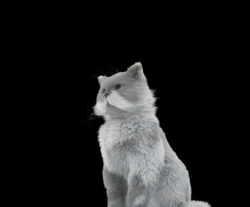 现代动物猫-ID:717705019