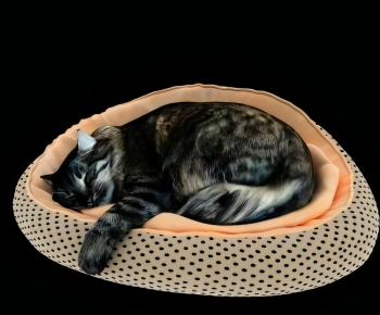 现代动物猫-ID:109839438