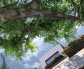 Modern Landscape-ID:772295956