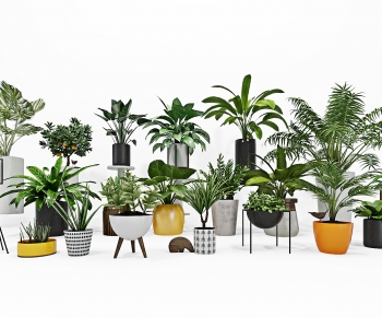 Modern Potted Green Plant-ID:952200987