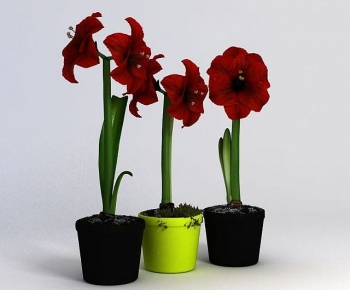 Modern Potted Green Plant-ID:715260591
