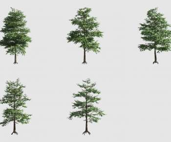 Modern Tree-ID:230155946