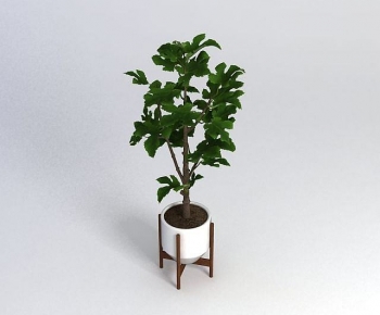 Modern Ground Green Plant Potted Plants-ID:930070913